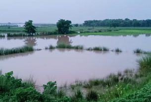 व्यापक बर्बादी को लेकर गमगीन किसानों ने किया मुआवजे की  मांग।