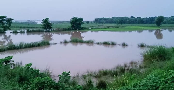 व्यापक बर्बादी को लेकर गमगीन किसानों ने किया मुआवजे की  मांग।