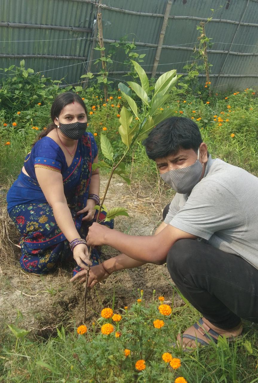 विश्व पर्यावरण दिवस के अवसर पर प्रदीप कुमार एवं मीनू कुमारी द्वारा किया गया वृक्षारोपण।