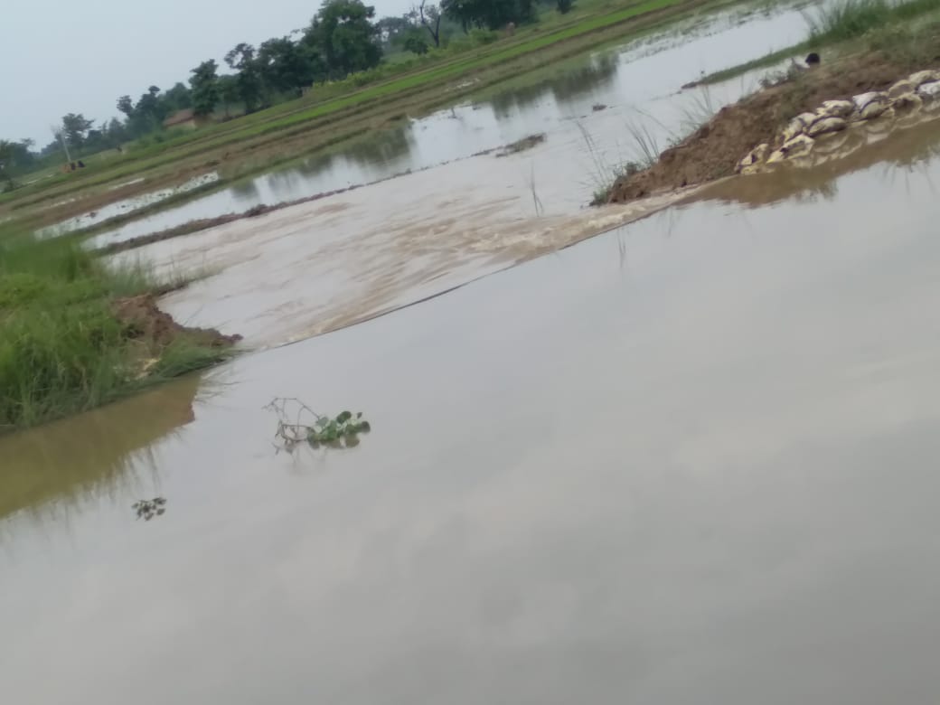 त्रिवेणी कैनाल का उत्तरी बांध टूटा हो सकती है भारी छति।