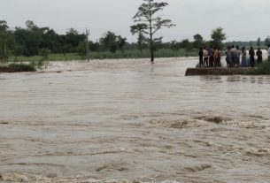 बाढ़ एव बारिश से 209 हेक्टेयर भूमि में लगे धान के बिचड़े नष्ट, किसान हुआ बर्बाद।