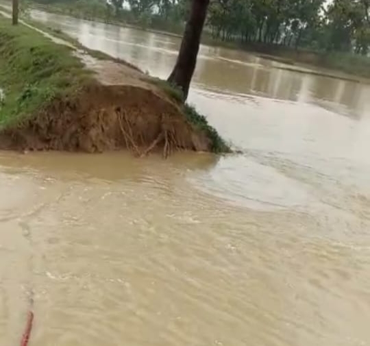बाढ़ से प्रभावित, ओरिया नदी का पूर्वी तटबंध दो जगहों पर टूटा, पानी से कई गाँव जलमग्न।