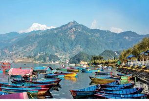 प्रखंड प्रमुख के लिए दो दिग्गज आमने सामने वोटिंग के लिए बोली का आंकड़ा 10 के पार