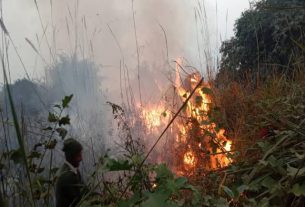 बिहार पर्यावरण विभाग में क्यों नहीं हो रहा है सुधार,क्यों अधिकारी है लापरवाह ?