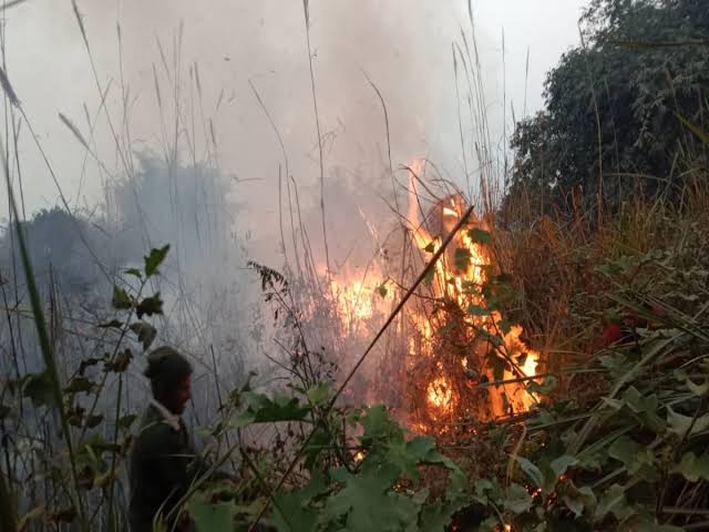 बिहार पर्यावरण विभाग में क्यों नहीं हो रहा है सुधार,क्यों अधिकारी है लापरवाह ?