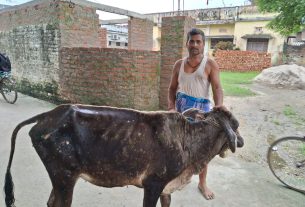 झंडा तोलन के साधन हैं पशु चिकित्सक।