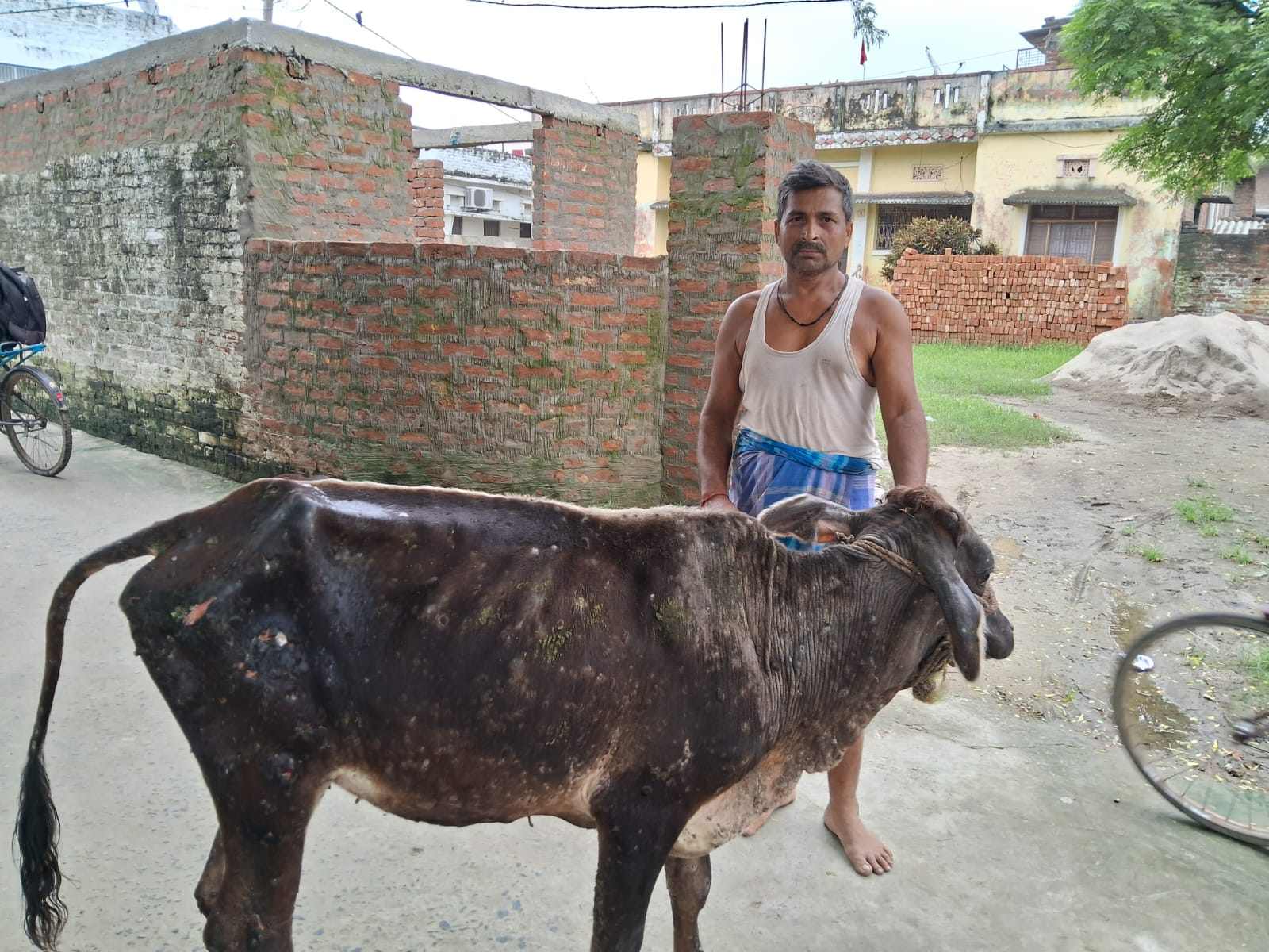 झंडा तोलन के साधन हैं पशु चिकित्सक।