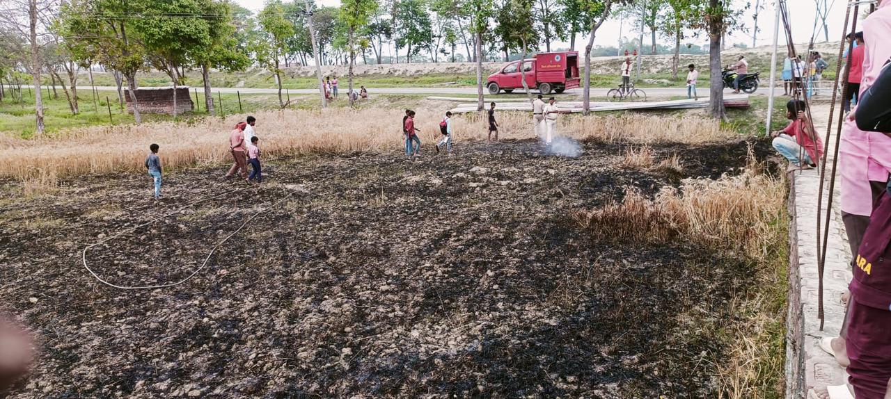 शॉर्ट सर्किट से आग लगने से तीन कट्ठा गेहूं का फसल जलकर राख!