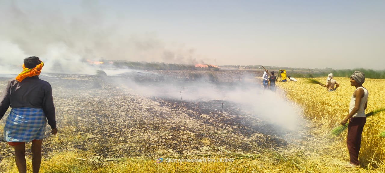 गेहू की खेत में लगी आग कई एकड़ फसल जलकर हुई बर्बाद।