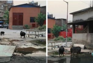 850करोड़ की लागत से बना बेतिया गवर्नमेंट मेडिकल कॉलेज सह सदर अस्पताल में संचालित पोस्टमार्टम हाउस की बदहाल स्थिति हुई उजागर। अस्पताल प्रशासन मौन।