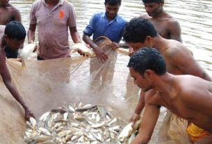 मत्स्यपालकों के लिए सुनहरा अवसर,तुरंत निबंधन कराएं।