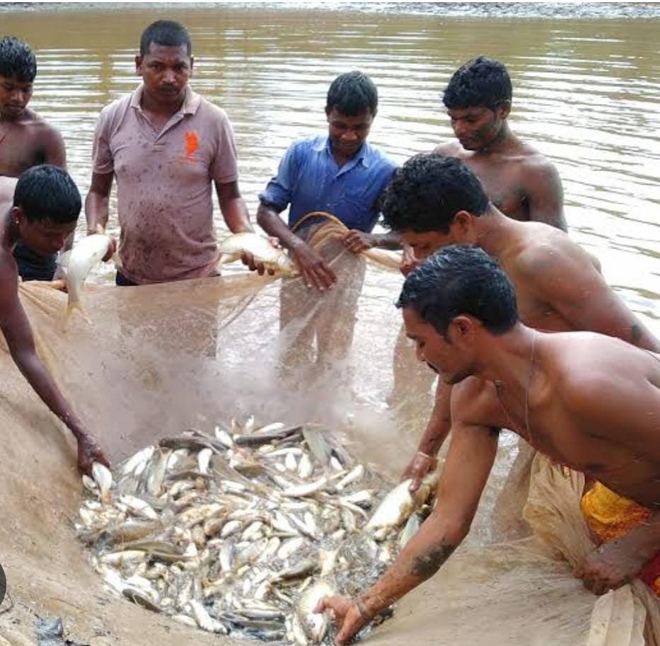 मत्स्यपालकों के लिए सुनहरा अवसर,तुरंत निबंधन कराएं।