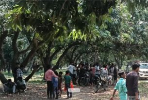 नवलपुर में एक बगीचे में लगे लीची के पेड़ पर एक छात्र का शव लटका हुआ मिला, क्षेत्र में फैली सनसनी।