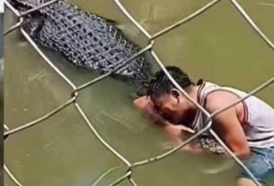 नहर में नहा रहे 7 वर्षीय बच्चे को मगरमच्छ ने ली जान,शव बरामद।