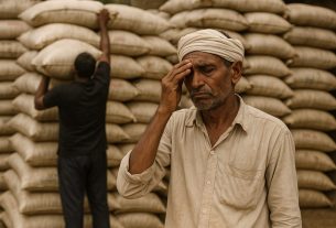सरकारी रेट 266.50, लेकिन बाजार में 500 तक बिक रही यूरिया की बोरी!