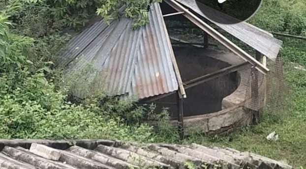 बगहा रेलवे स्टेशन के कुएं से मिली सड़ीगली शव,हत्या की आशंका व्यक्त।
