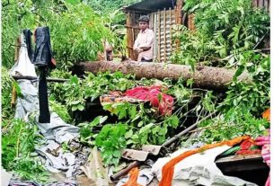 वर्षा में नीम का पेड़ गिरने से पेड़ से दब कर एक किशोरी की हुई मौत।