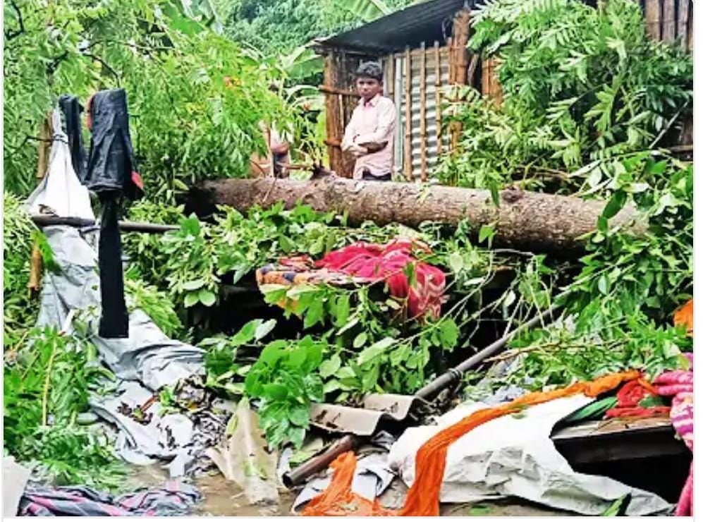 वर्षा में नीम का पेड़ गिरने से पेड़ से दब कर एक किशोरी की हुई मौत।