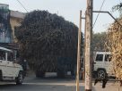 लौरिया थाना क्षेत्र में गन्ना से लदे ओवरलोड ट्रैक्टर-ट्रॉली के परिचालन से सड़क दुघर्टना से सहमे क्षेत्र वासी।