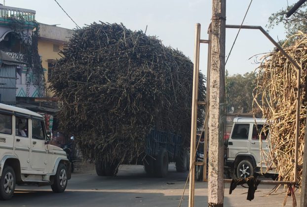लौरिया थाना क्षेत्र में गन्ना से लदे ओवरलोड ट्रैक्टर-ट्रॉली के परिचालन से सड़क दुघर्टना से सहमे क्षेत्र वासी।